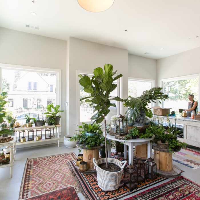 Forage & Flower: A Floral & Botanical Design Studio