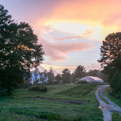serenbe | community serenbe | community
