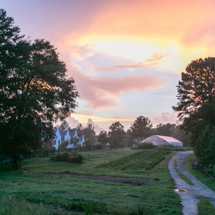Serenbe Farms