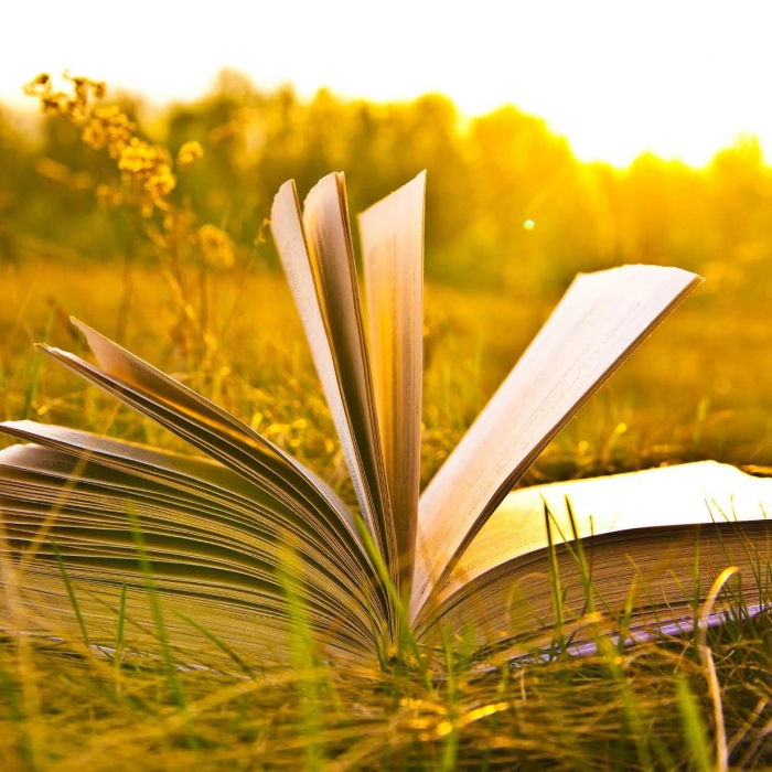 Hills & Hamlets Pop-Up Bookshop & Performances